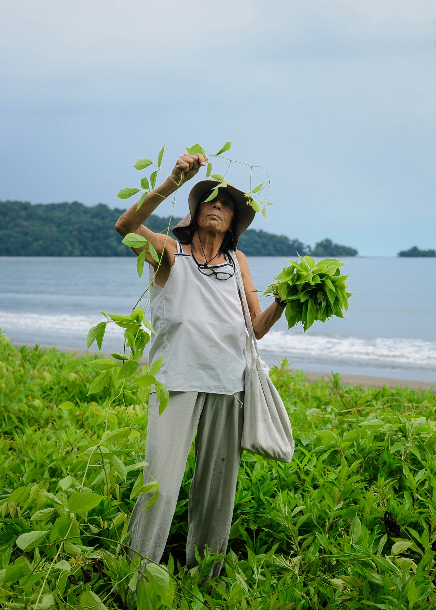 Top ceiba tintes naturales
